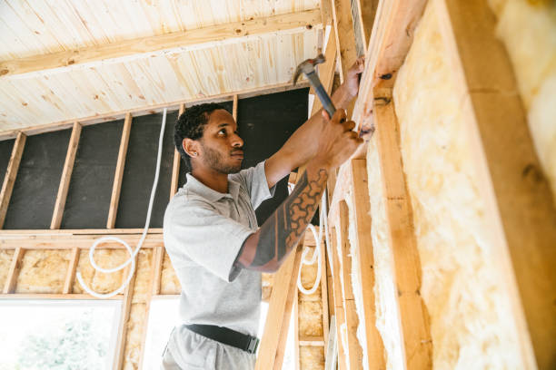 Best Attic Insulation Installation  in Clinton, IL